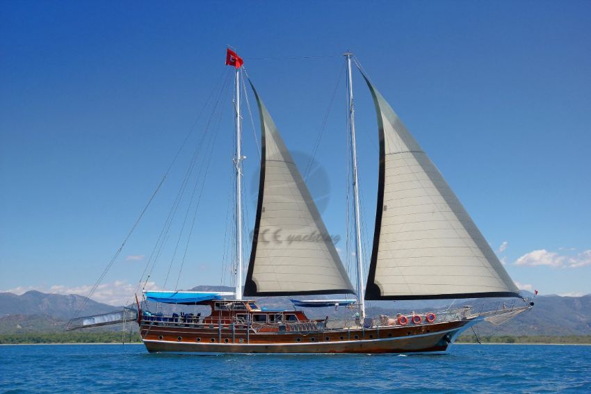 aleyna guleti ön güverte yaşam alanı