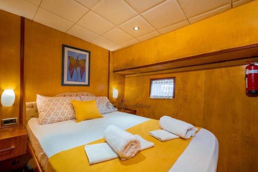 ANGELO 1 Double Kabin