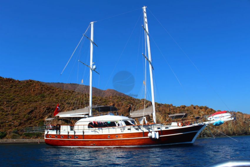 ECE A.D. Dış Görünüm 1