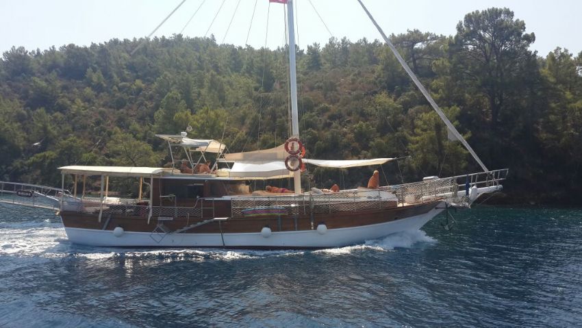 baran s teknesi koyda