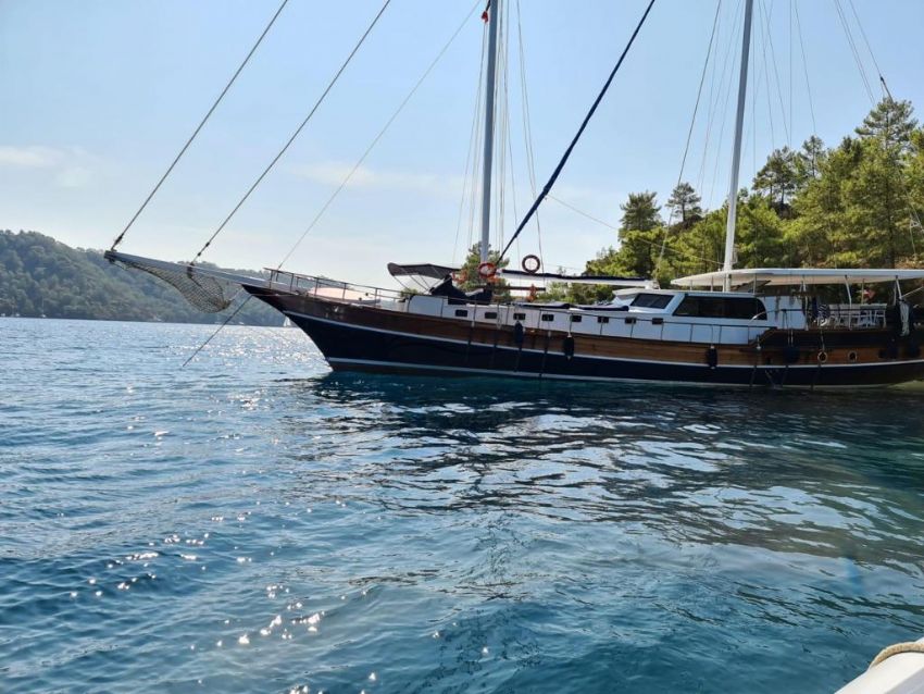 Ece Selçuklu Dış Görünüm