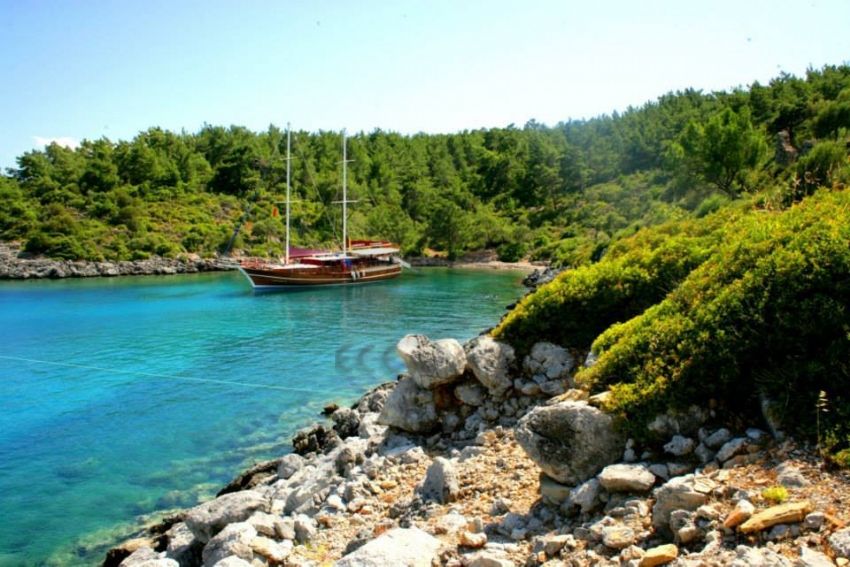 Çağatay.