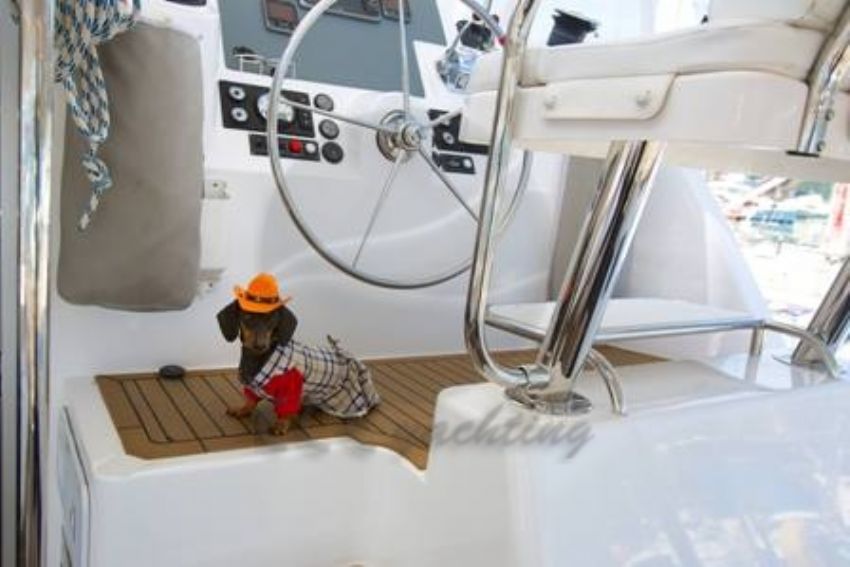 Liberty Catamaran,