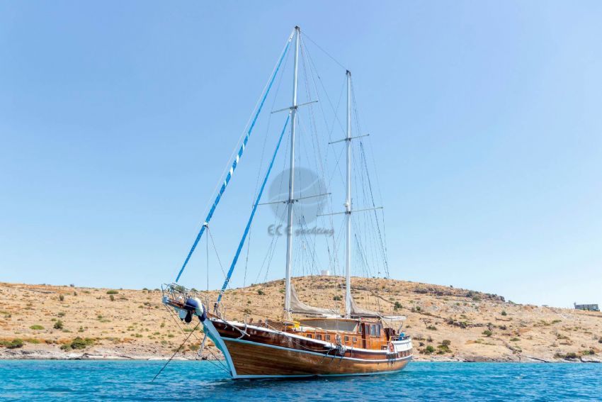 DENİZ KIZI A Dış Görünüm