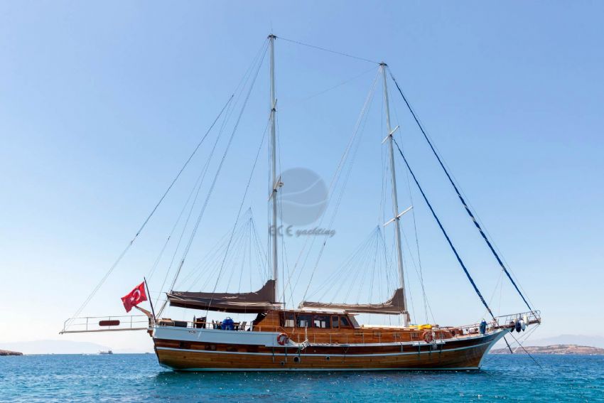 DENİZ KIZI A Dış Görünüm