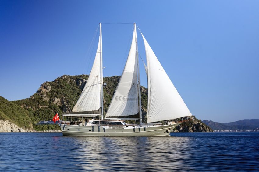 Dış Görünüm