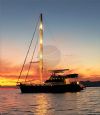 Ece 33 Gulet, Sailing At Sunset.   batımı 