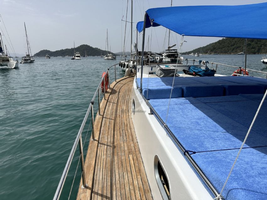 Elisa Gulet, Yemek Grubu