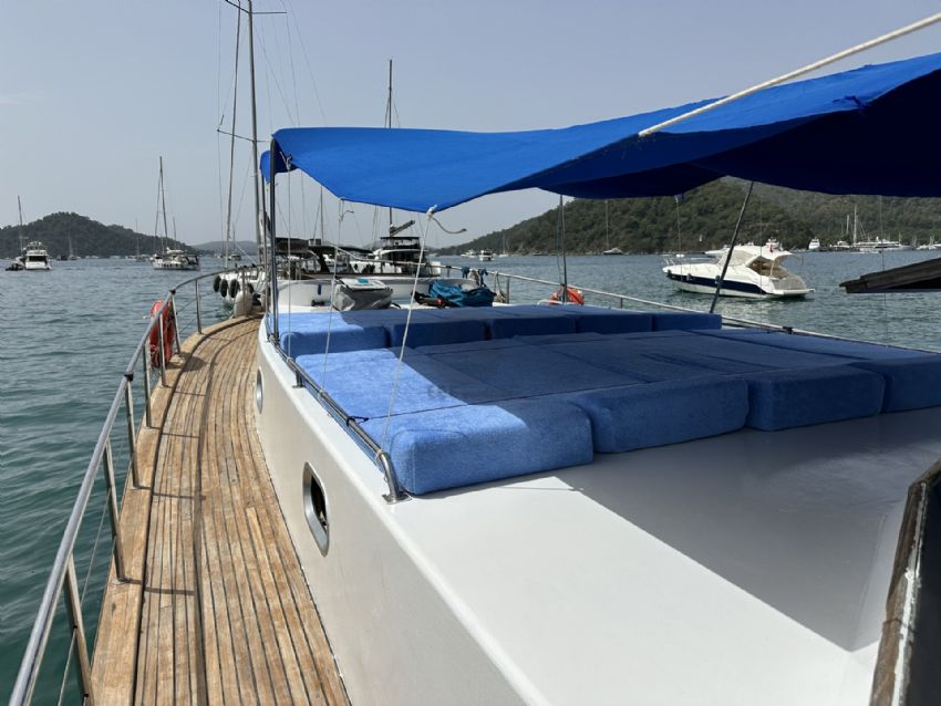 Elisa Gulet, Ön Oturma Grubu