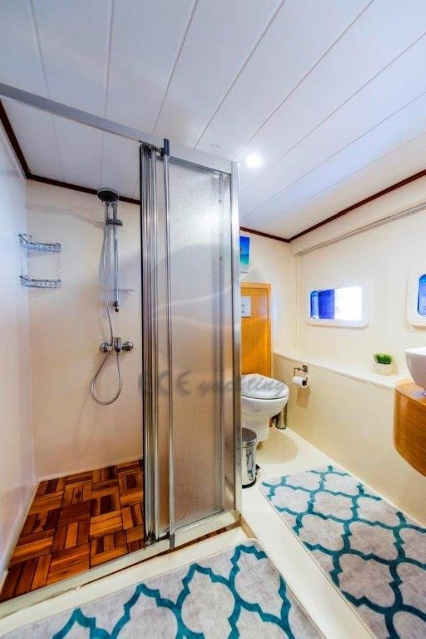 ERKAN 4_gulet_cabin_3