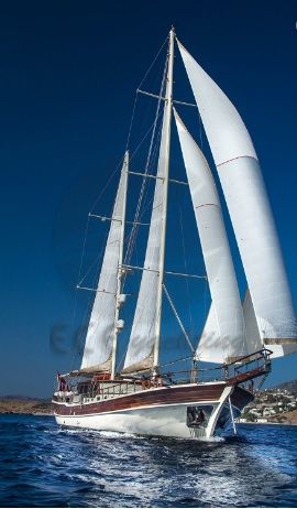 M/S Estrella De Mar