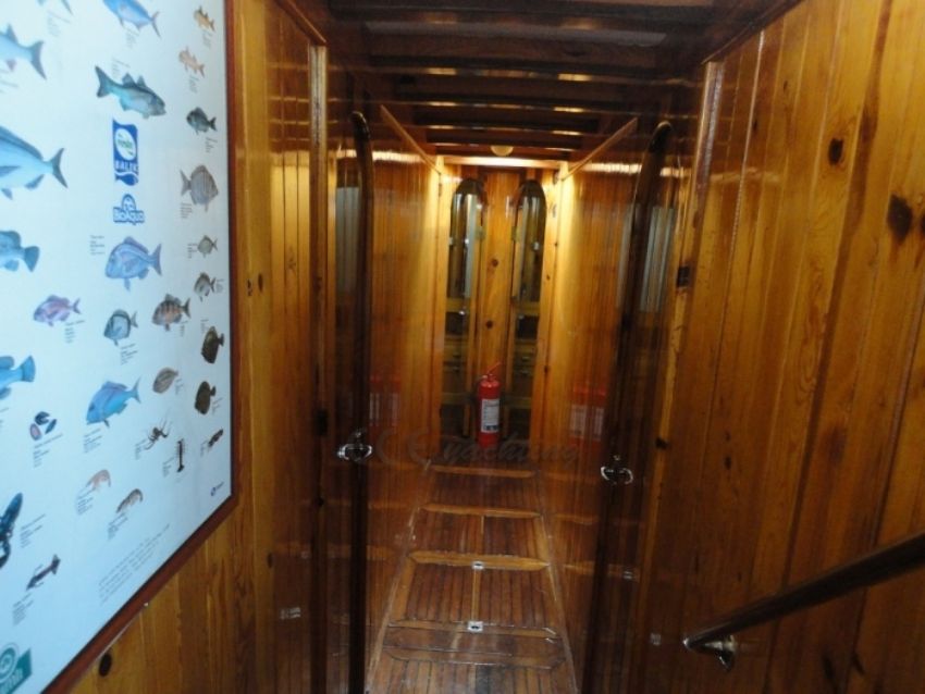 Halikarnaslım kabinler