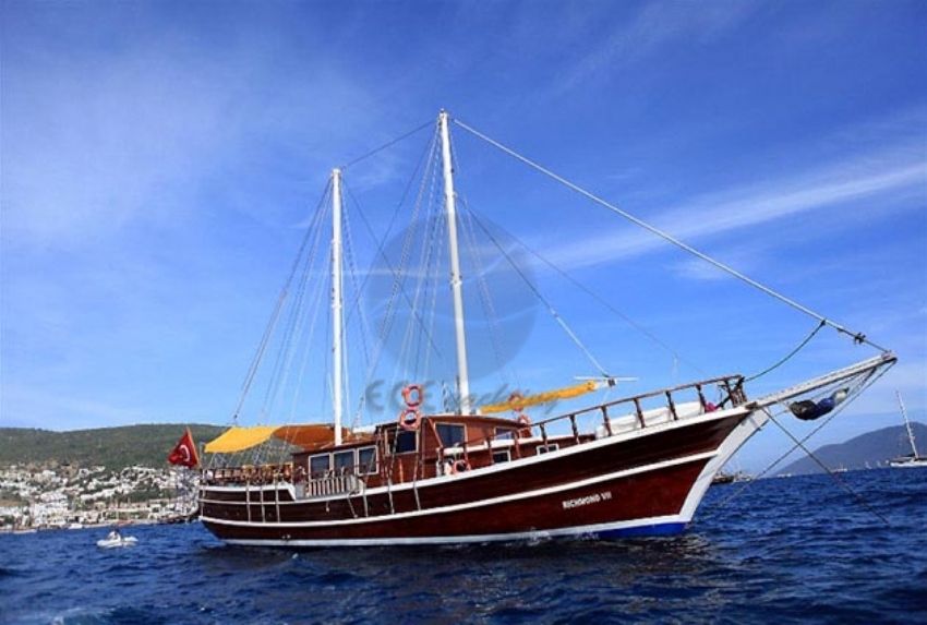 Harmonia dış çekim 1