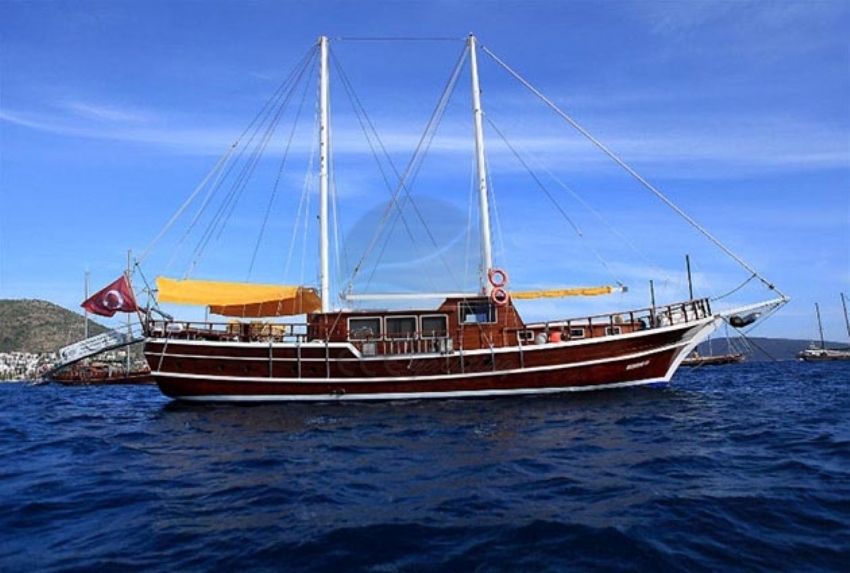 Harmonia dış çekim 4