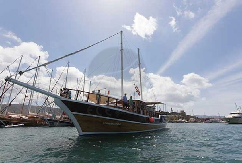 Harmonia dış çekim 2