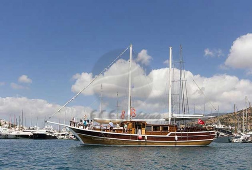 Harmonia dış çekim 3