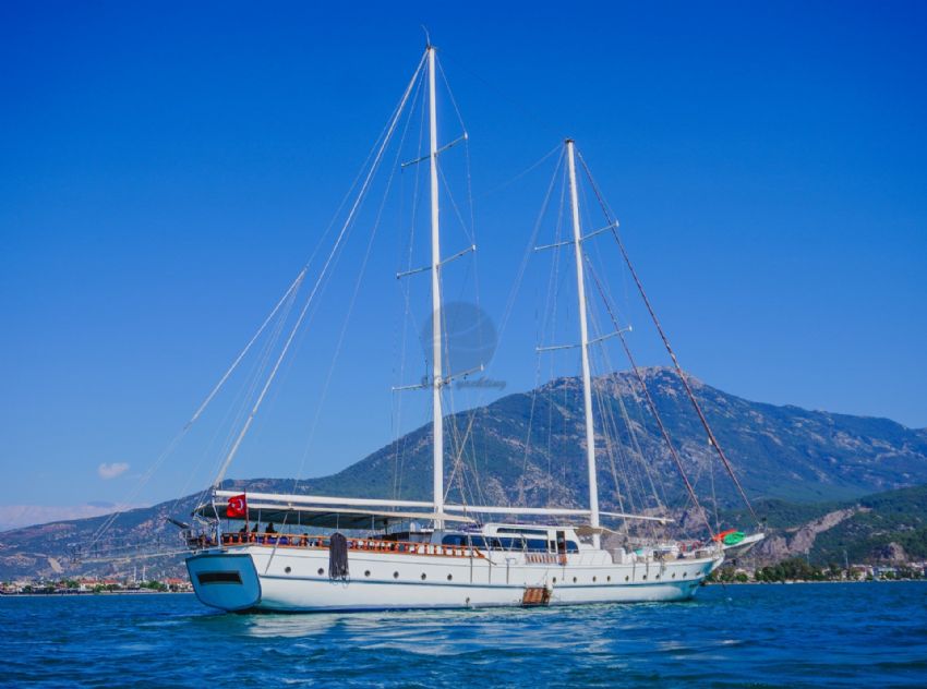 ECE ADALAR Dış Görünüm