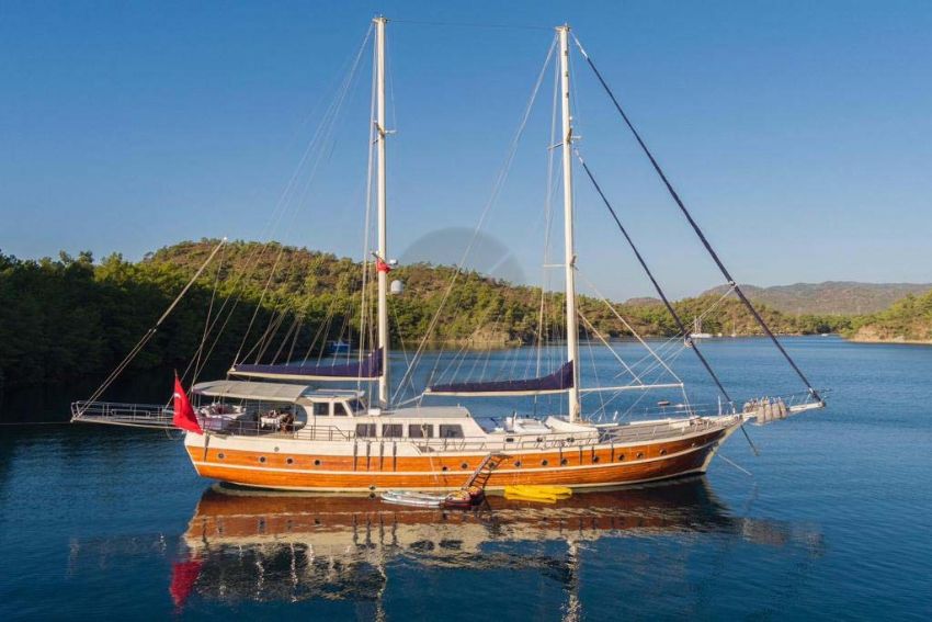 Junior Orçun - Dış Görünüm