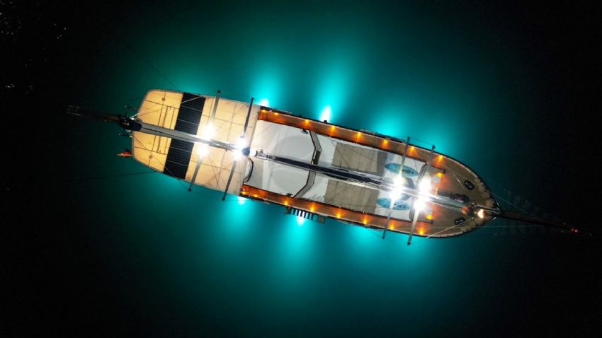 KANARYA GECE DIŞ GÖRÜNÜM2