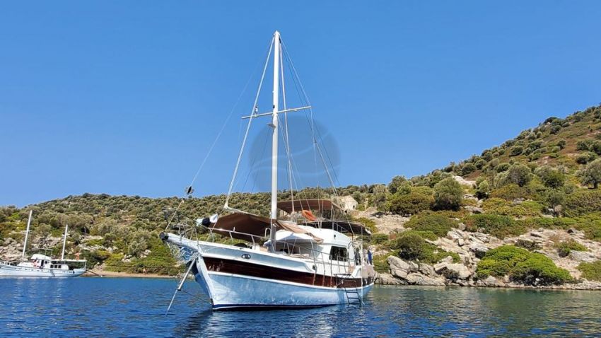 Ece Captain Dış Görünüm