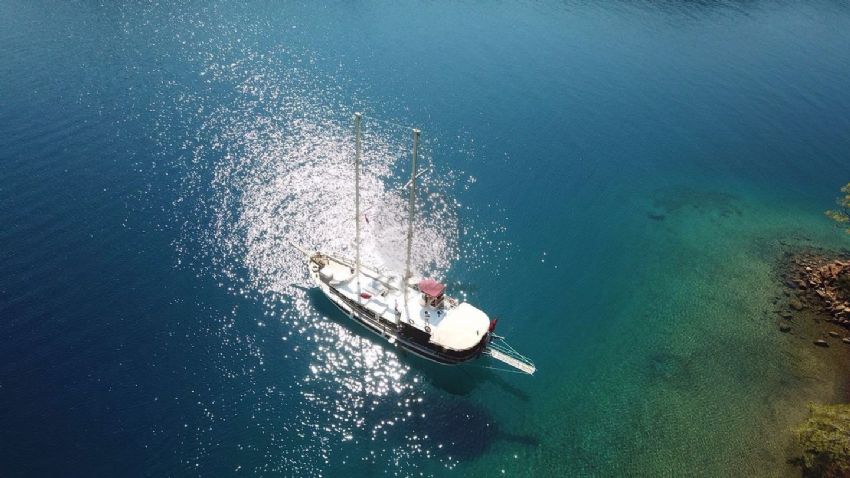 Ece K. 2 Dış Görünüm