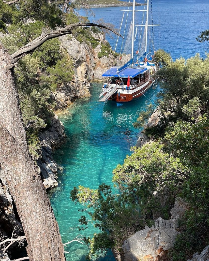 Teknemizin arkadan görünüşü.