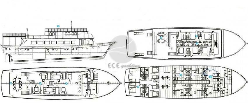 Gulet, Yerleşim Planı