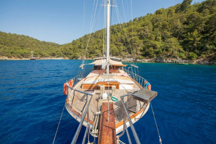 Ece Mimoza Dış Görünüm