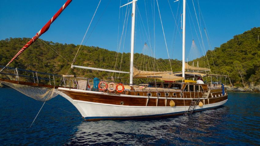 Ece Mimoza Dış Görünüm