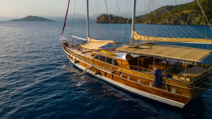 Ece Mimoza Dış Görünüm