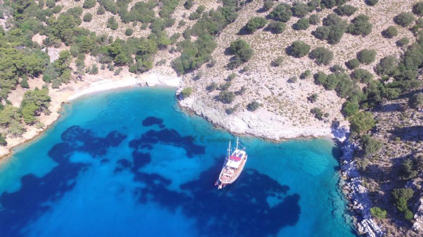 Mrs Elcih Gulet, Making Waves.