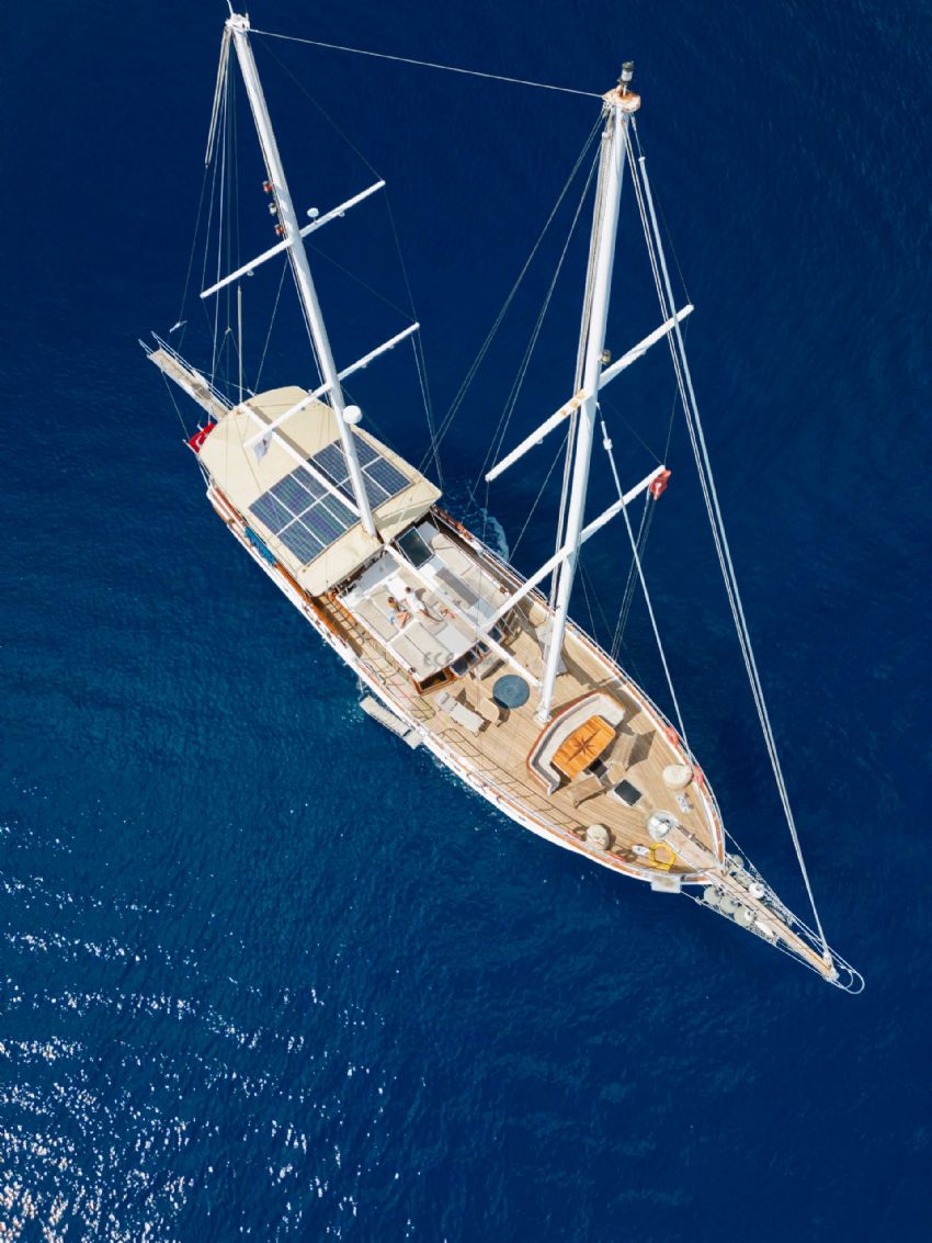 Ece Nefise Dış Görünüm