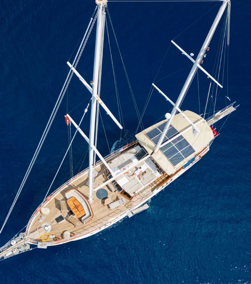 Ece Nefise Dış Görünüm