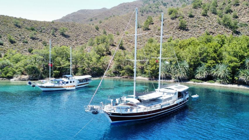 Ozge Gulet, Dış Görünüm