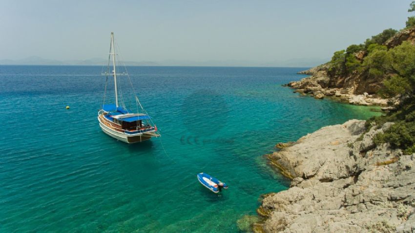 Parlak Gulet, Tender.