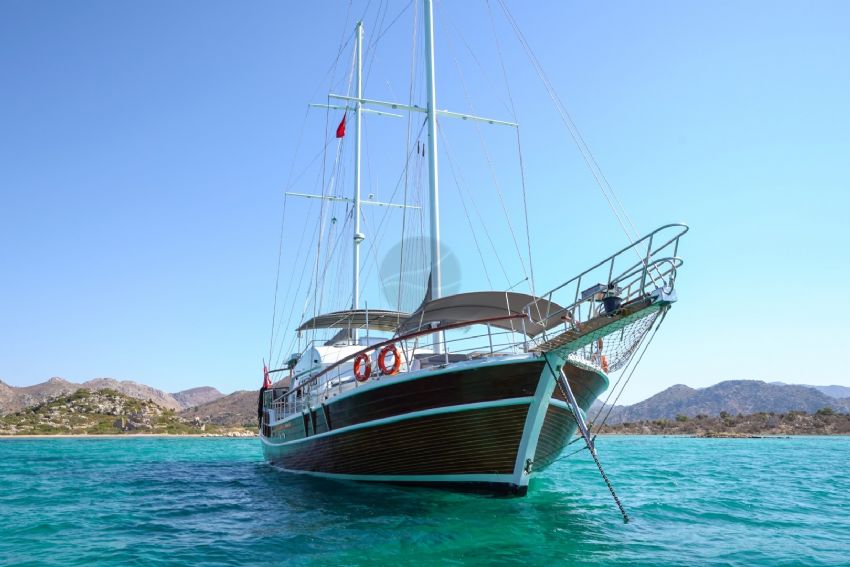 Paşalı Dış Görünüm