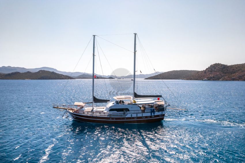 Paşalı Dış Görünüm