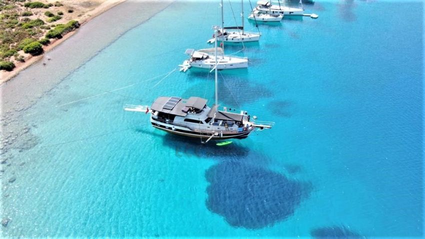 POYRAZ B Dış Görünüm