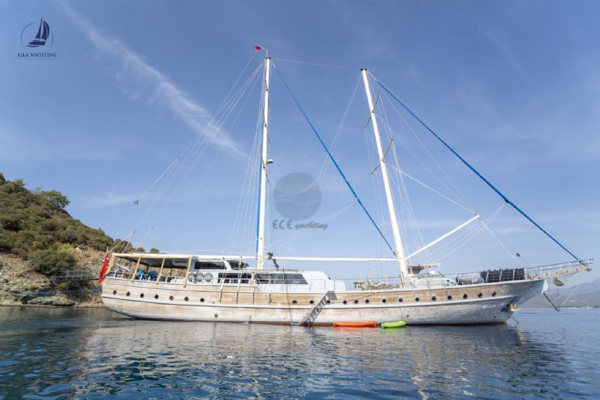 Princess Lila Dış Görünüm