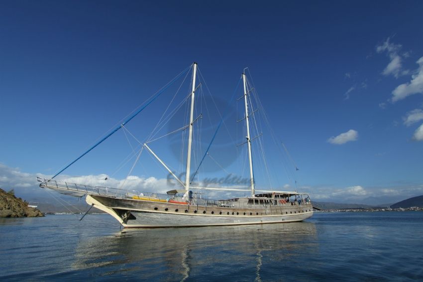 Princess Lila Dış Görünüm