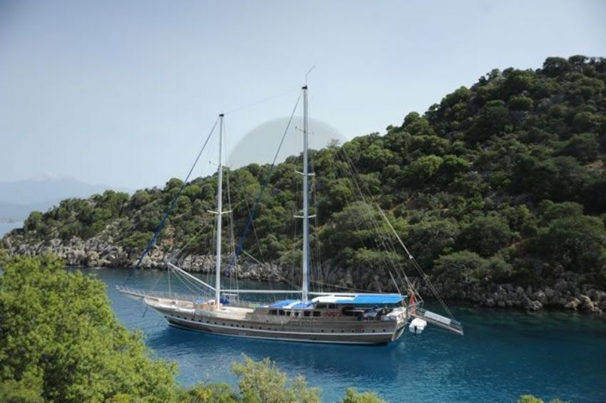 Princess Lila Dış Görünüm