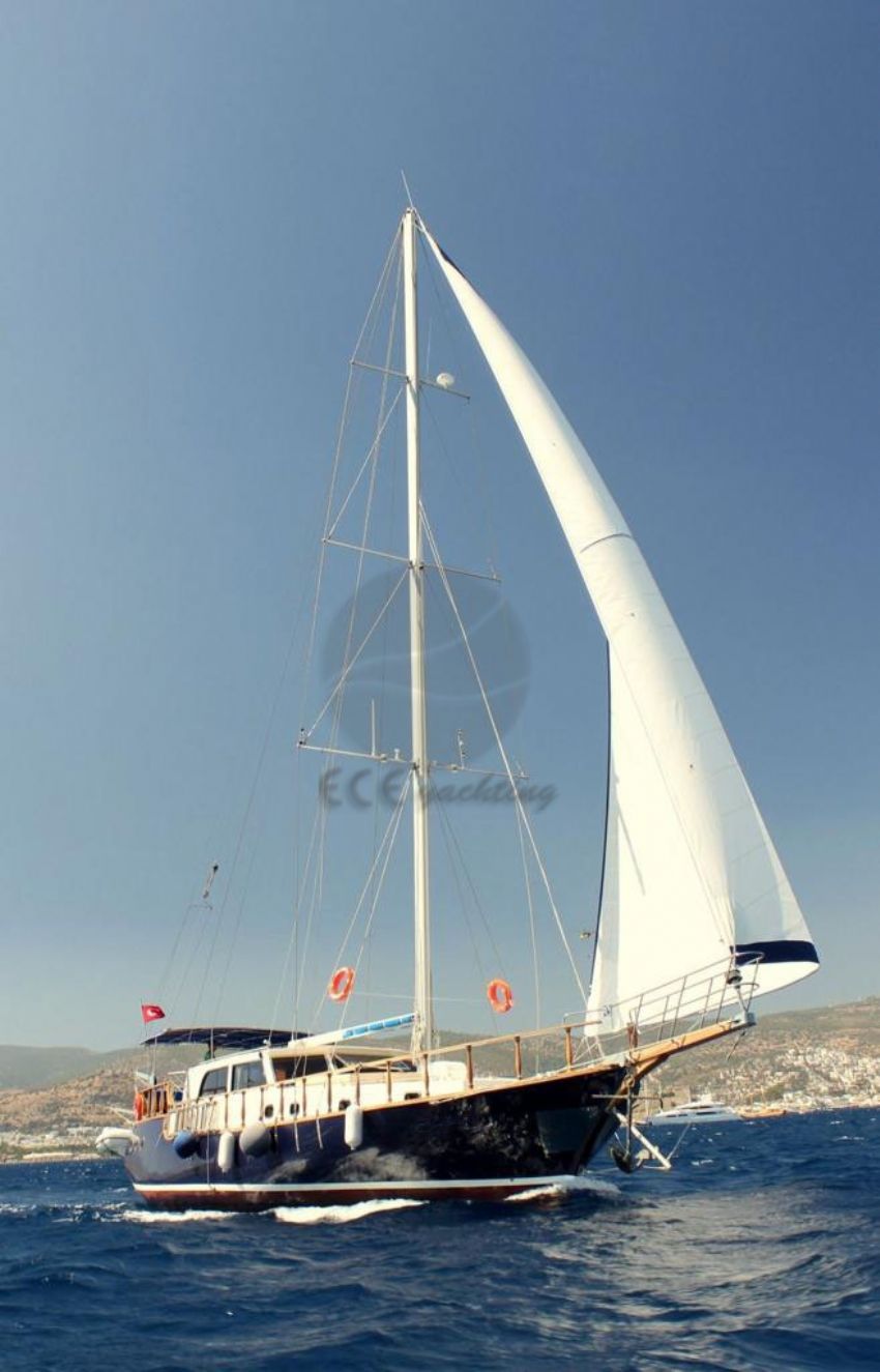 Rojwan Dış Görünüm