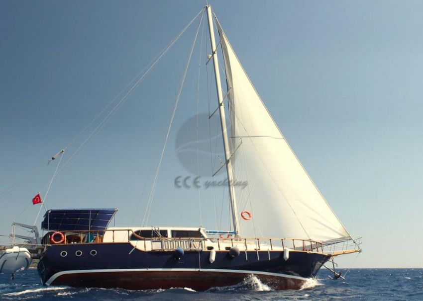 Rojwan Dış Görünüm