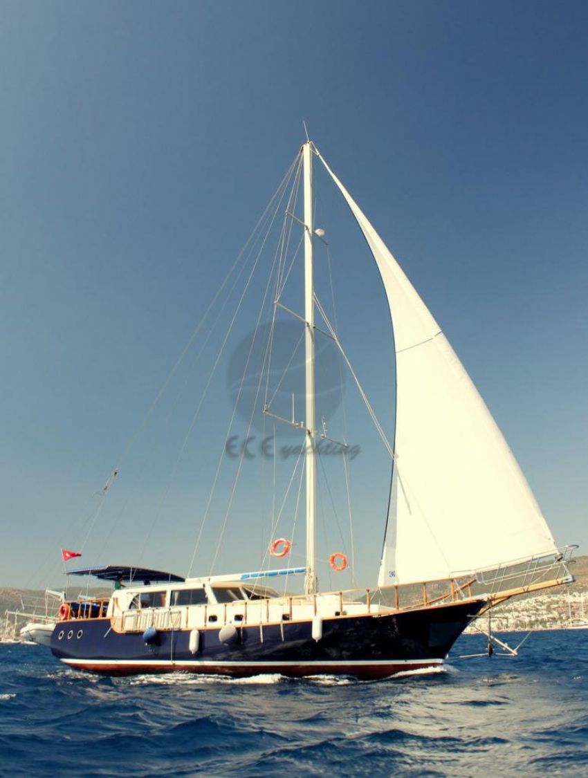 Rojwan Dış Görünüm