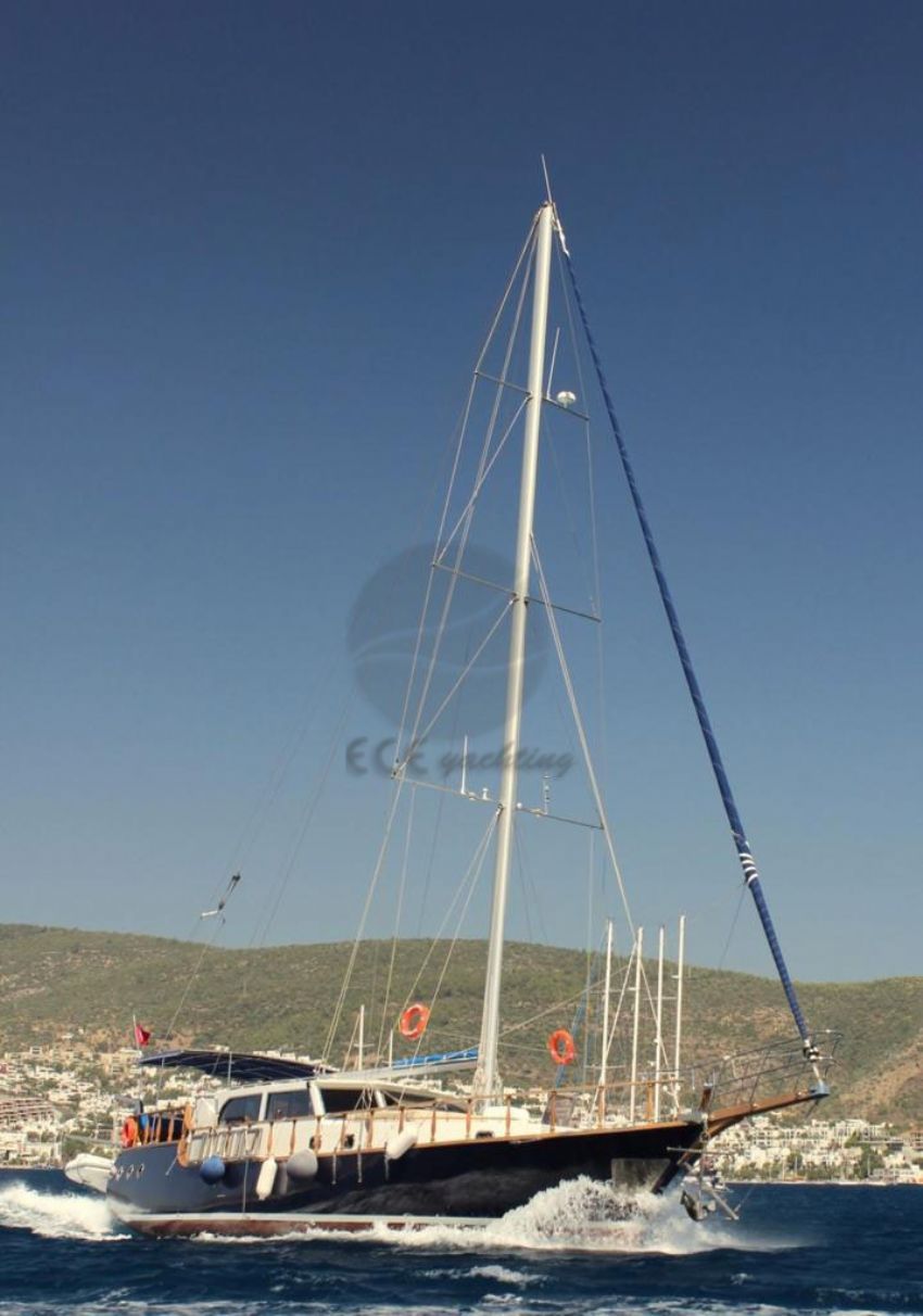 Rojwan Dış Görünüm