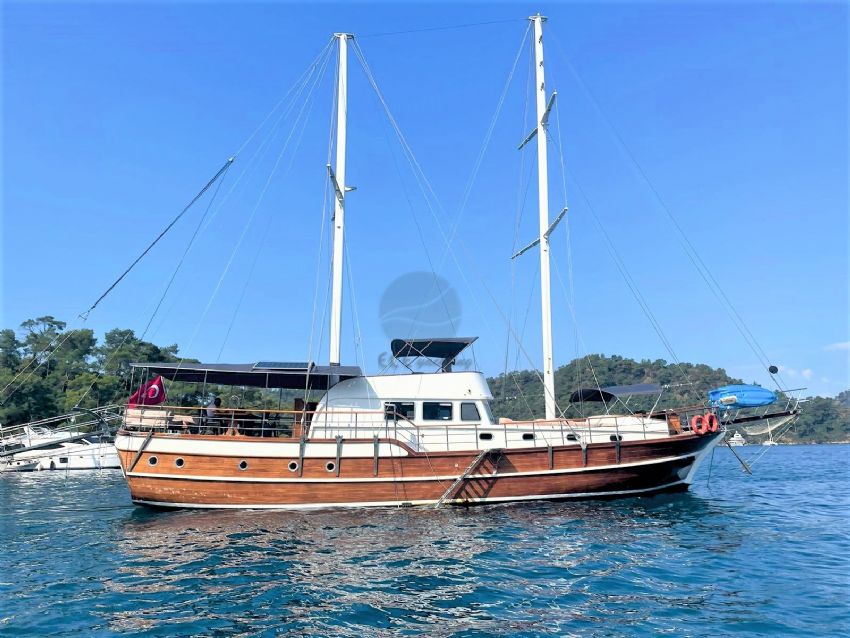 Royal Swan Dış Görünüm