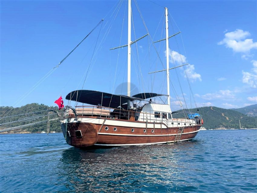 Royal Swan Dış Görünüm