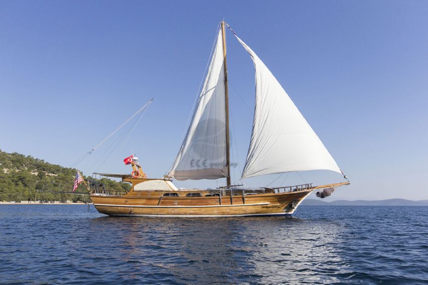 Sea Life, Sailing From Bodrum.