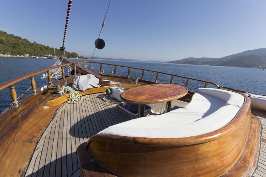 Sea Life, Enjoy The View.