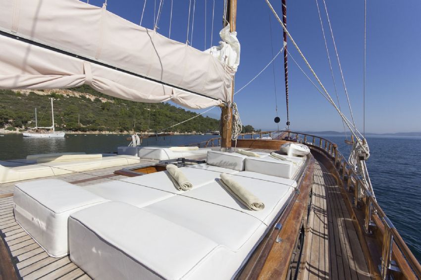 Sea Life, Raised Sun Deck.